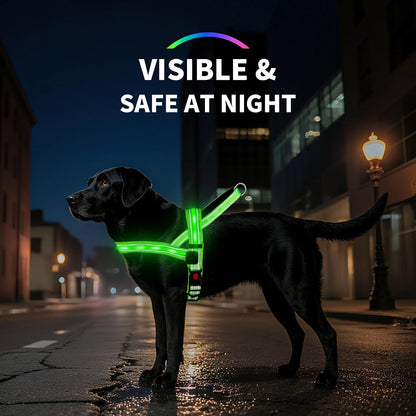 LED Light up Dog Harness - USB-C Rechargeable, IPX7 Waterproof, Reflective, No Pull Dog Vest with Soft Padded Handle for Night Walking(Green, Medium)