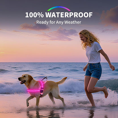 LED Light up Dog Harness - USB-C Rechargeable, IPX7 Waterproof, Reflective, No Pull Dog Vest with Soft Padded Handle for Night Walking(Green, Medium)