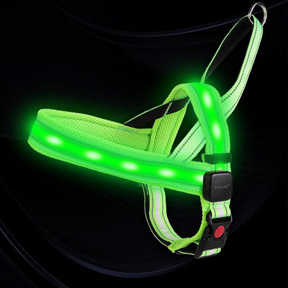LED Light up Dog Harness - USB-C Rechargeable, IPX7 Waterproof, Reflective, No Pull Dog Vest with Soft Padded Handle for Night Walking(Green, Medium)